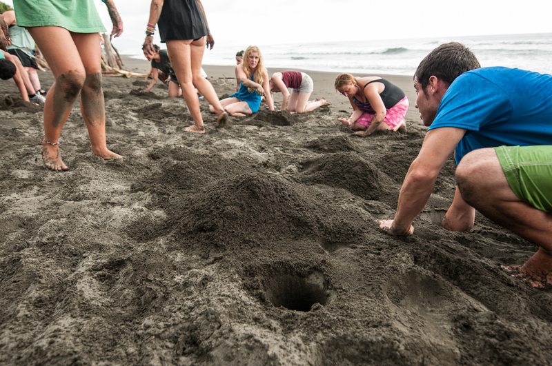 Read more about the article Voluntourism: Volunteer while Travelling