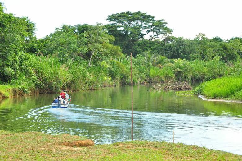A small boat on a river with the forest around
