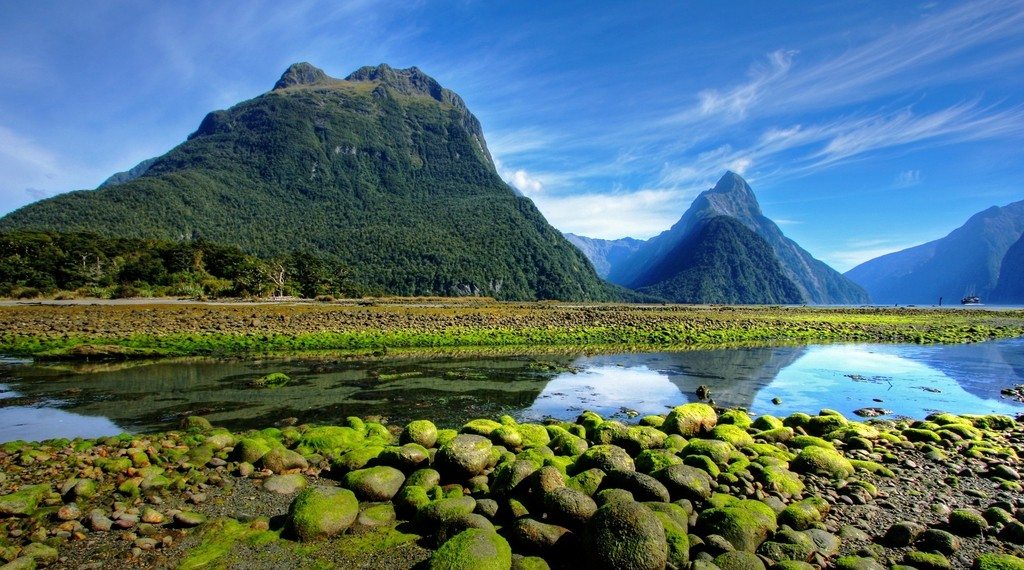 new-zealand-05