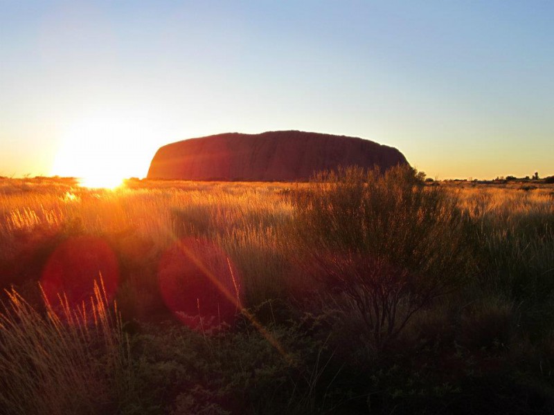 Read more about the article Exploring the Land Down Under | Part 01