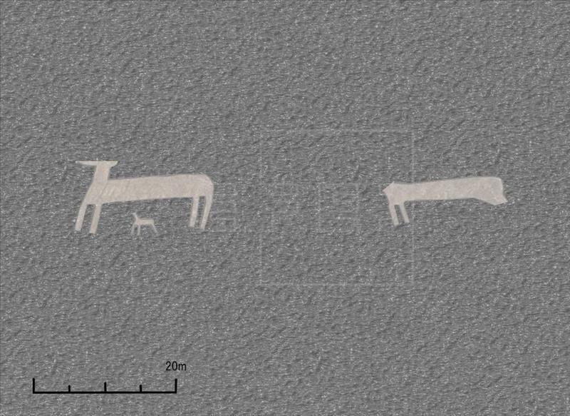 Geoglyphs in Nasca scale 