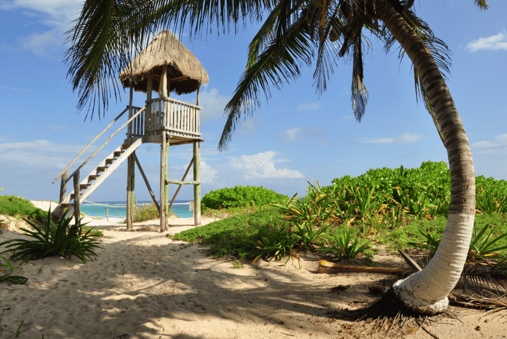 Mexico Caribbean Beach Yucatan Beach Riviera Maya Beach