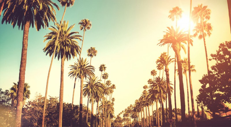 Read more about the article Home Sweet Home LA