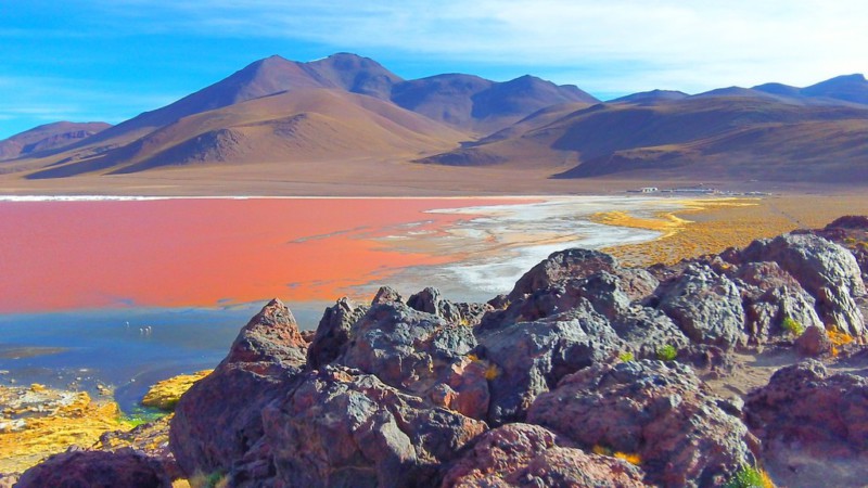 Pink lake in Bolivia