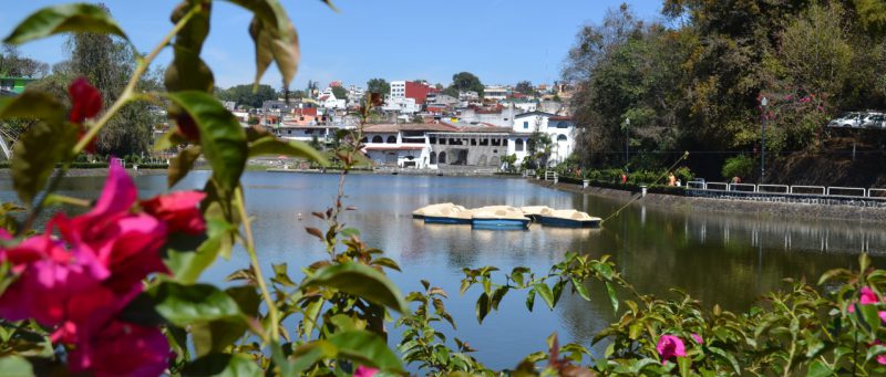 Read more about the article Discovering Xalapa: it’s all about art, coffee and food