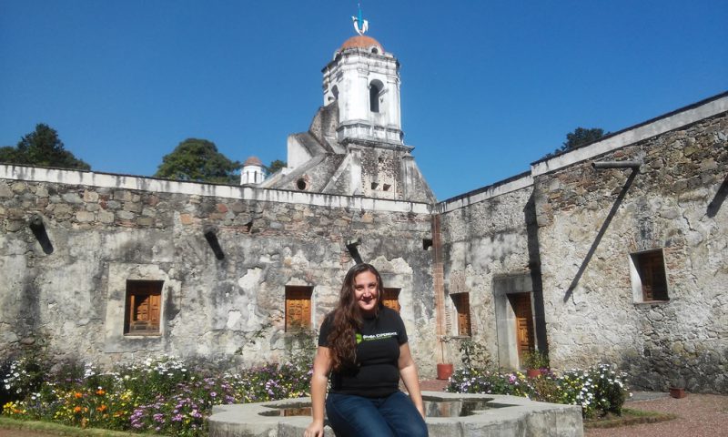 Read more about the article Discover Mexico: Desierto de los Leones National Park