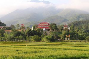 Read more about the article Discovering Vibrant Vietnam