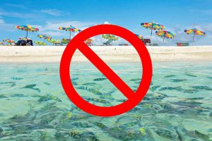 Read more about the article Thailand is Closing Three Islands to Tourists