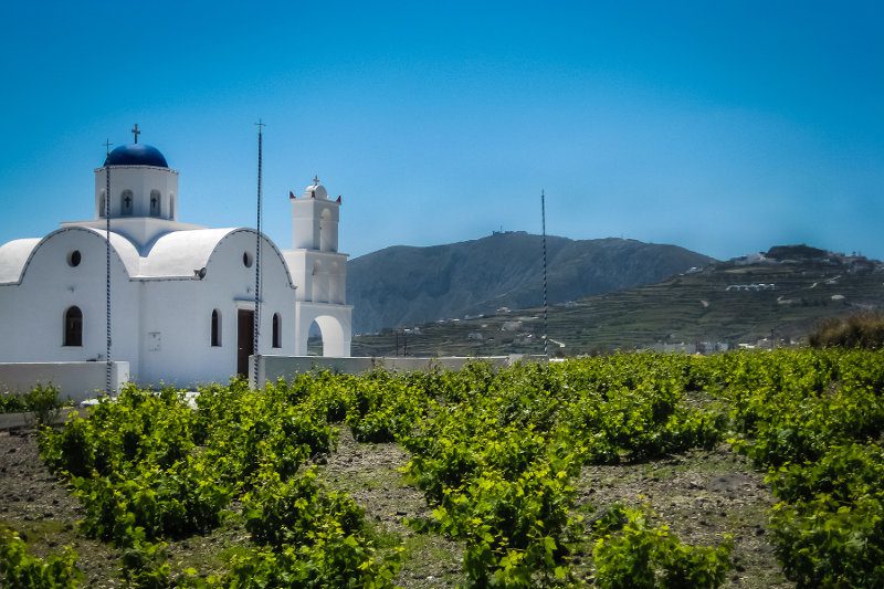 Winery