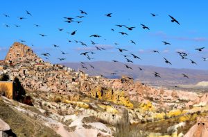 Read more about the article Discovering Istanbul & Cappadocia