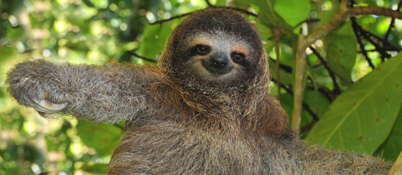 You are currently viewing Pura Vida in Costa Rica