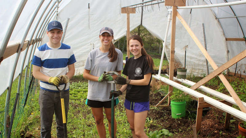 Squash Blossom Farm