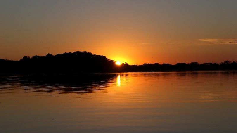 Bask in the beauty of the the Manaus Amazon Jungle- Brazil 