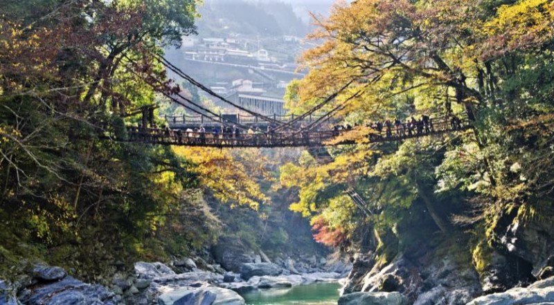 Stunning Vine bridges in Japan's countryside - Japanese Mythology