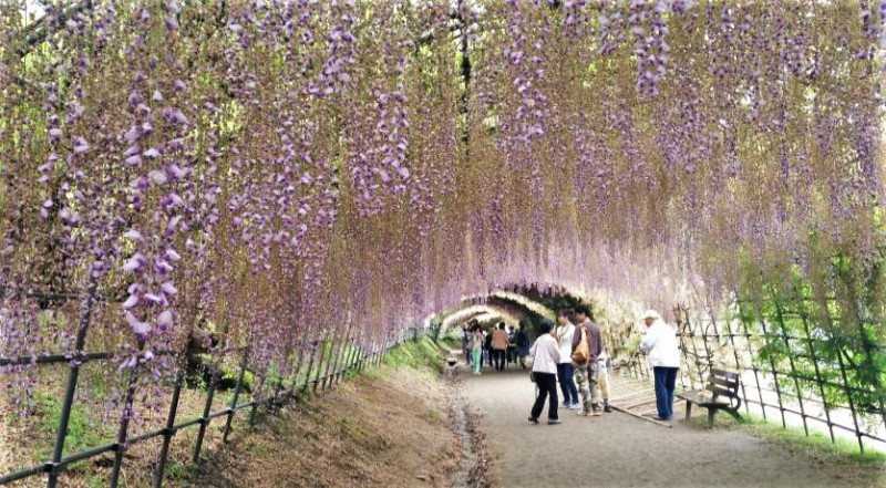 You are currently viewing Discover Famous Destinations of Japanese Mythology