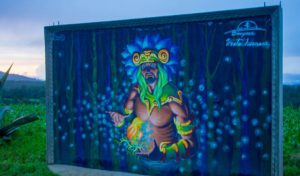 Read more about the article A Firefly Experience in Mexico