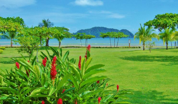 The Lush Greenery of Costa Rica- Happiest Places in the World