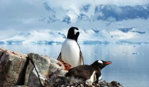 Read more about the article Bamba Supports Adventure Travel Conservation Fund