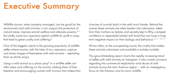 World Animal Protection