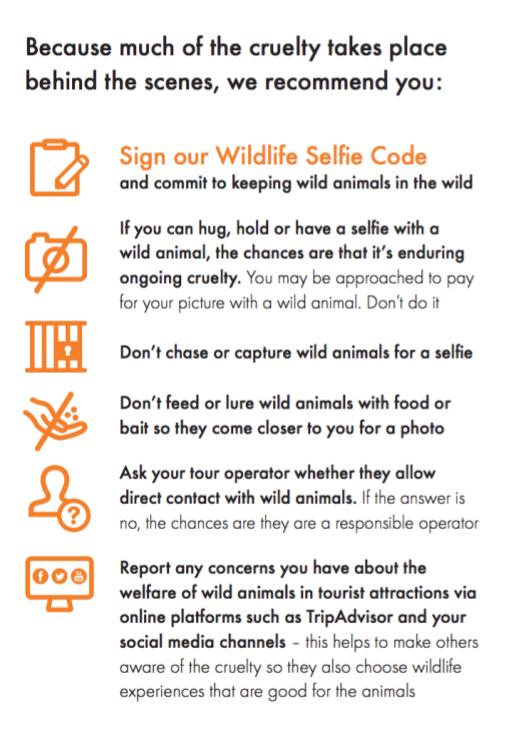 World Animal Protection