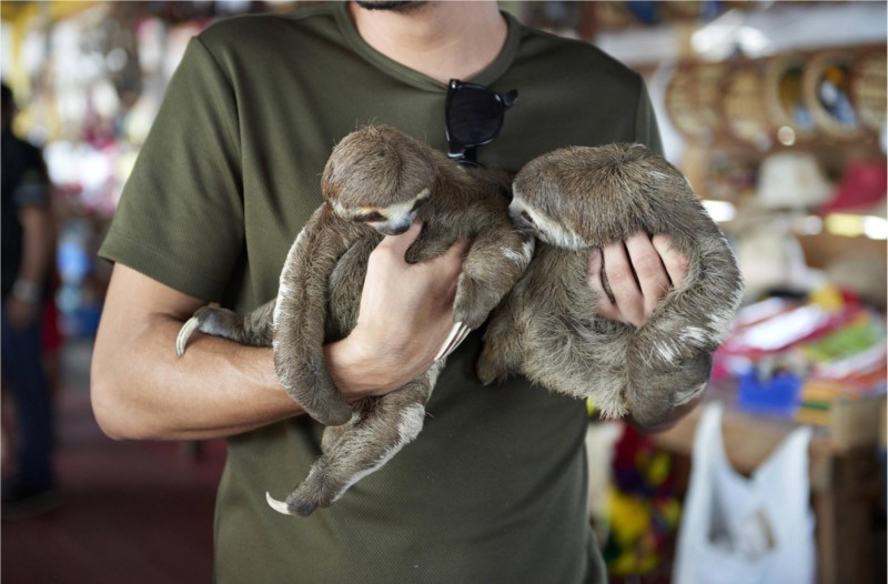 Read more about the article Good Or Bad Wildlife Selfie: How To Tell The Difference