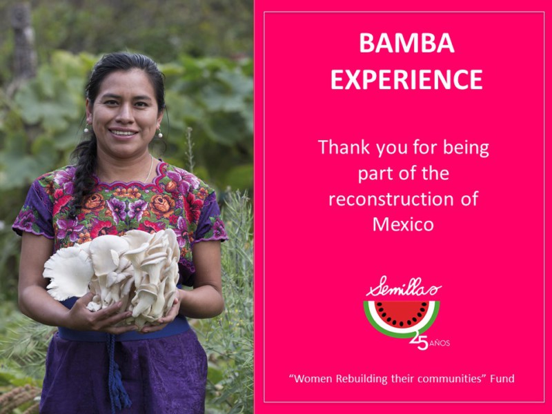Semillas thanks you for being part of the reconstruction of Mexico