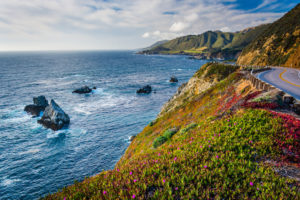 Read more about the article 8 American Road Trips You HAVE to Experience in Your Lifetime!