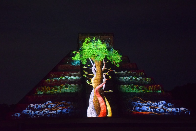 Image of tree projected on a Chichen Itza ruin