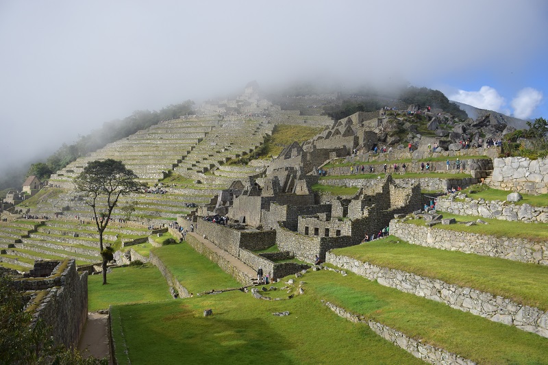 Inca Terraces at Machu Picchu