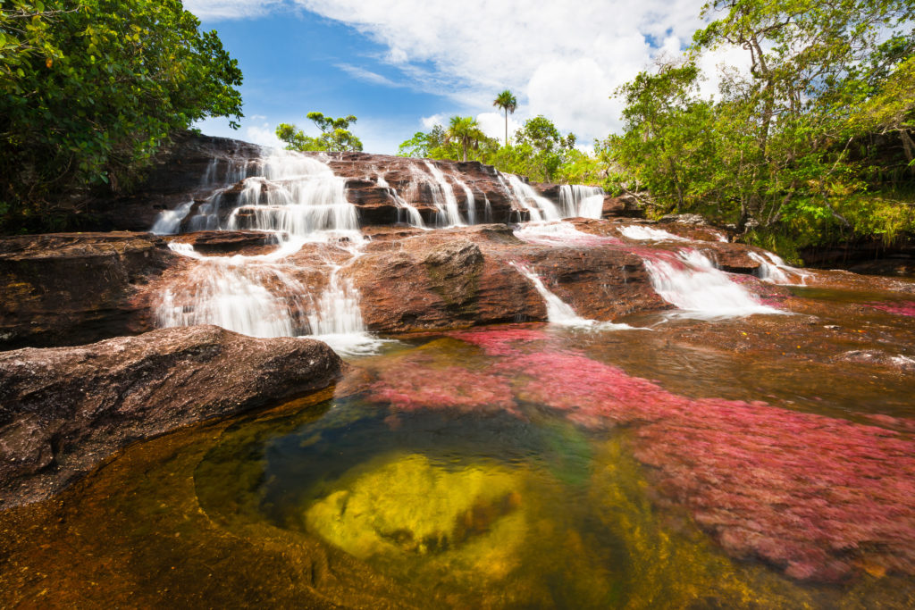 Read more about the article Rulebook for Caño Cristales: The World’s Most Beautiful River