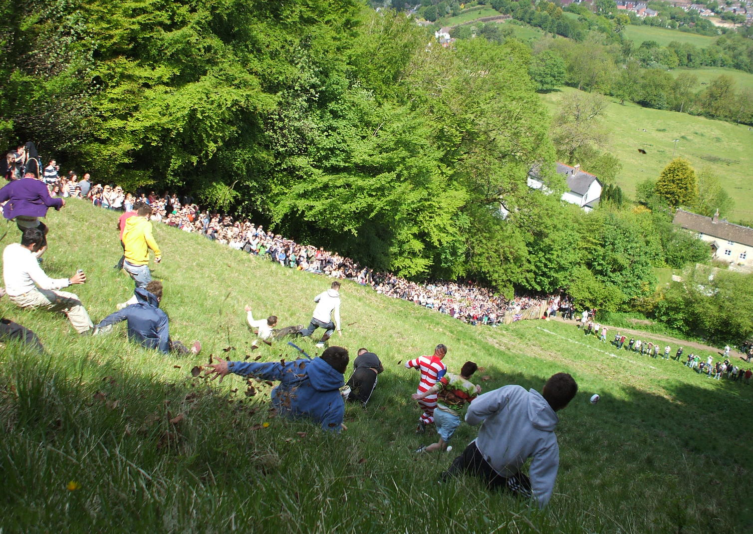 Competitors racing down a hill after a wheel of cheese at the Cooper's hill Cheese Rolling