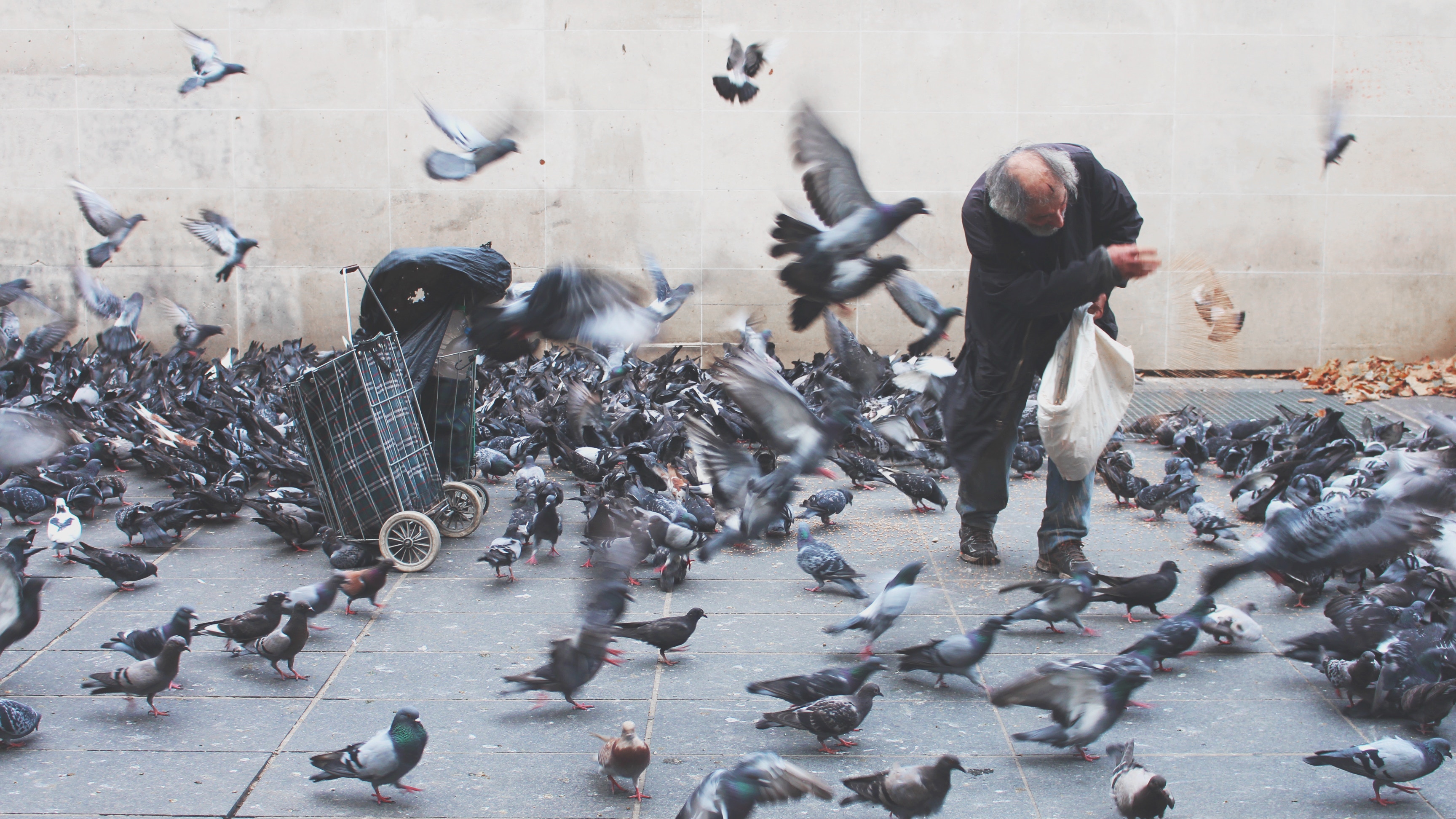 You are currently viewing 15 Weird Laws All Travellers Should Know