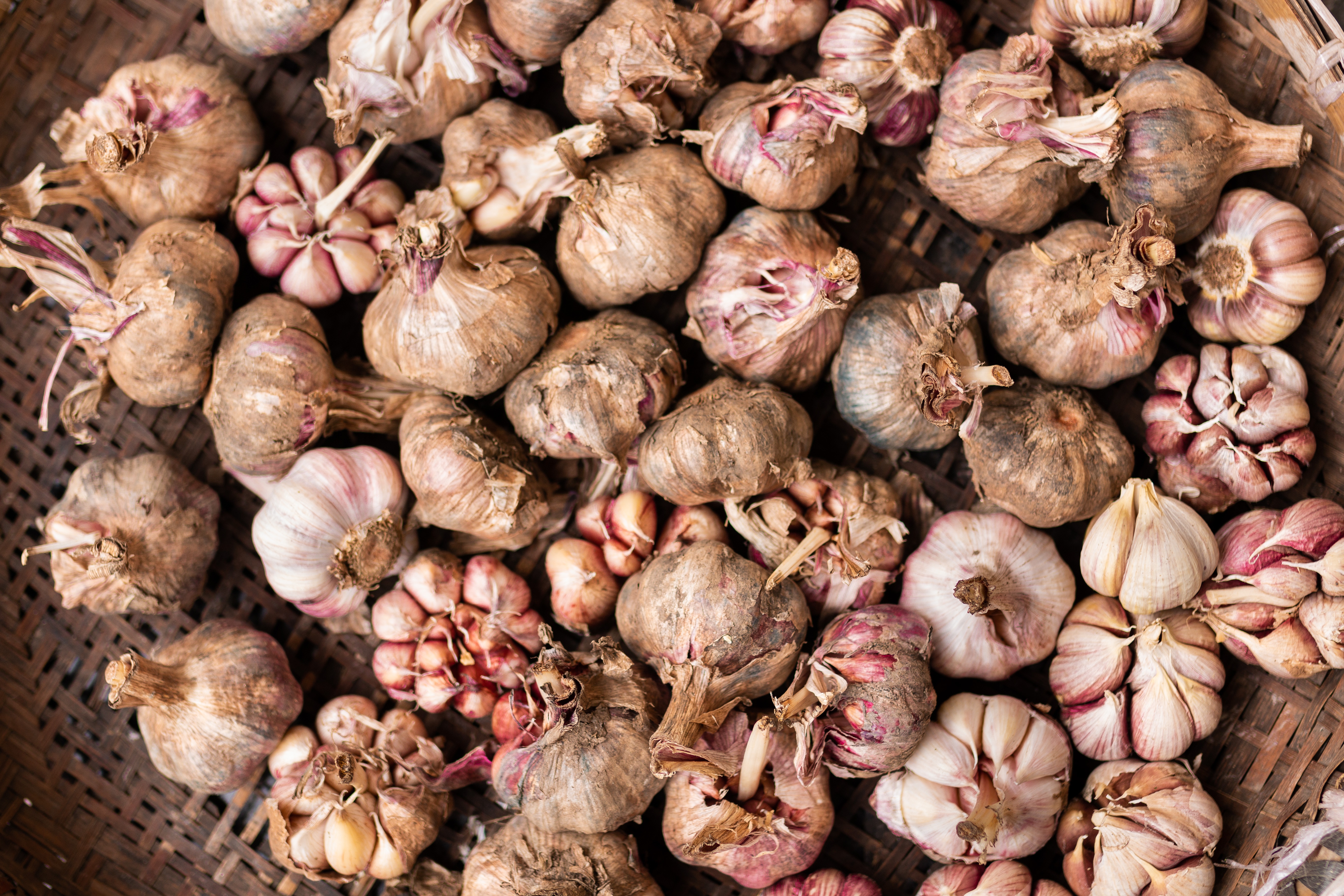 A pile of garlic heads.