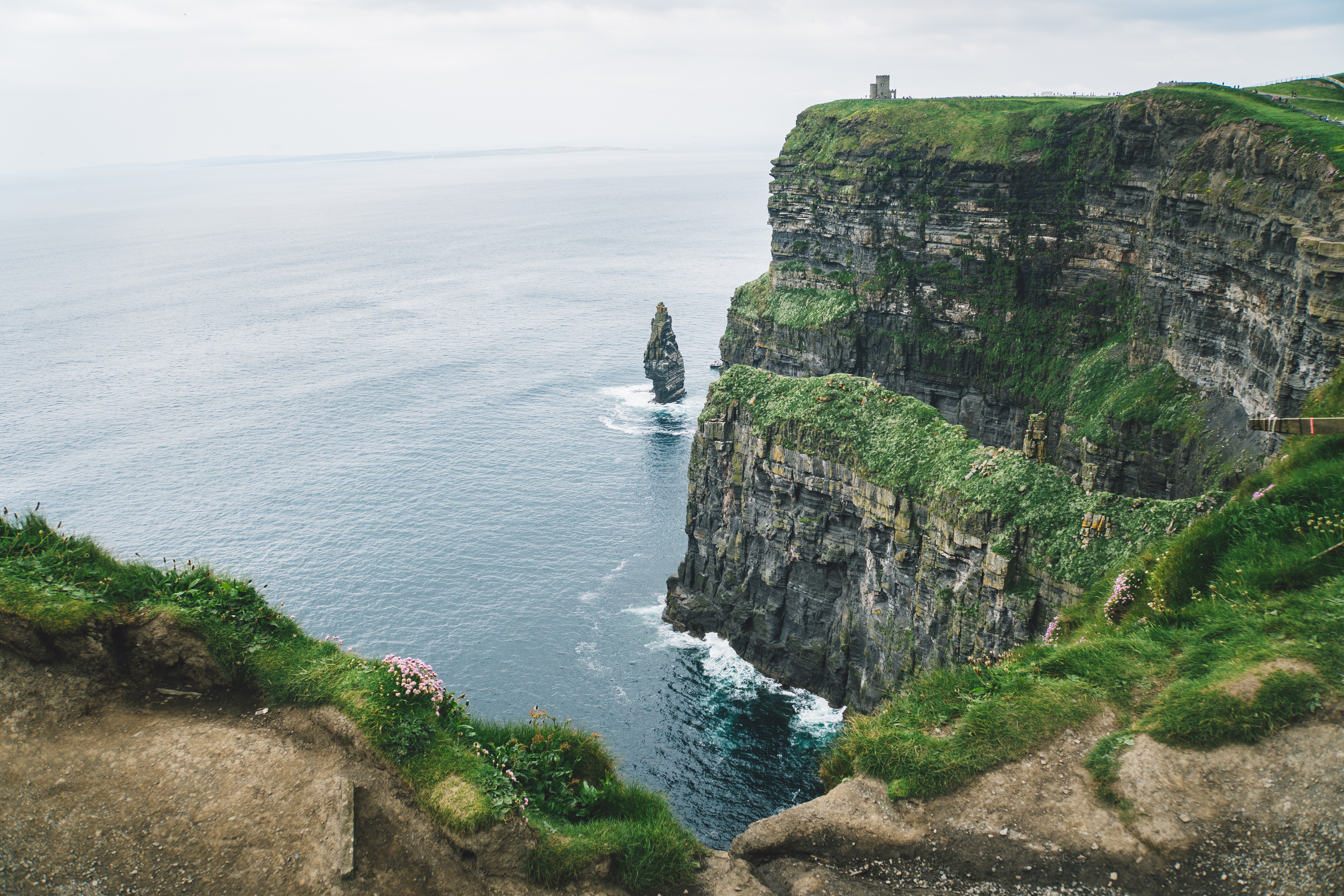 View looking about to the ocean and along the Cliffs of Moher, Ireland