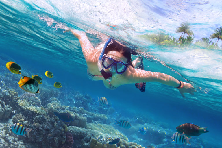 A woman snorkelling above coral and fish on tour in Koh Lipe Thailand