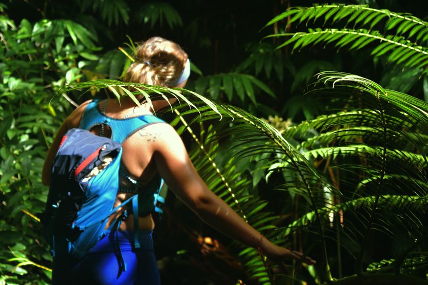 You are currently viewing Top 10 Rainforests and Jungles from Around the World