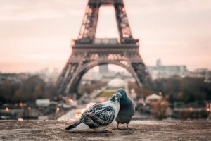 Read more about the article A Travel Lover’s Perfect Match
