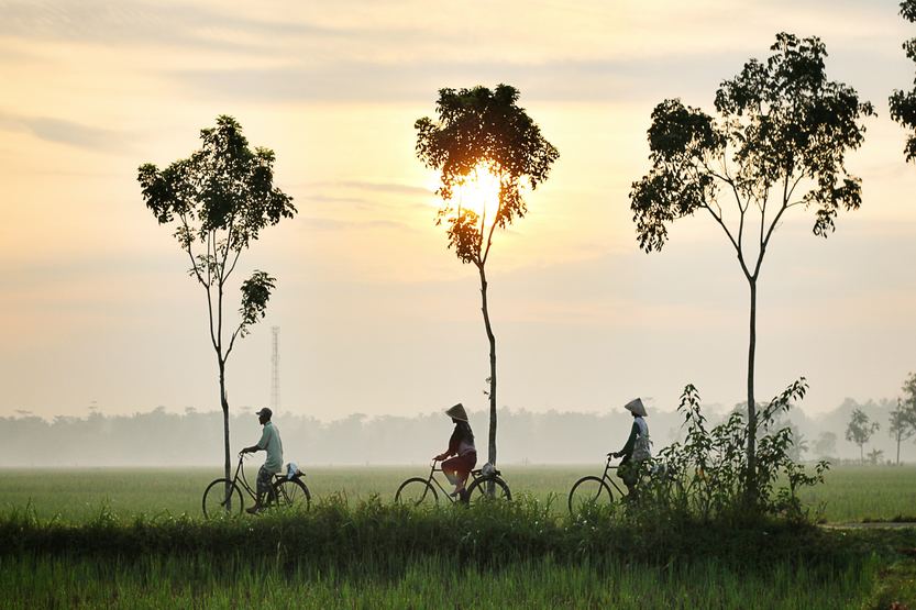Group on bike in Indonesia