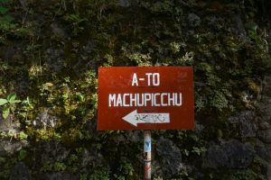 Read more about the article The Machu Picchu Jungle Trek