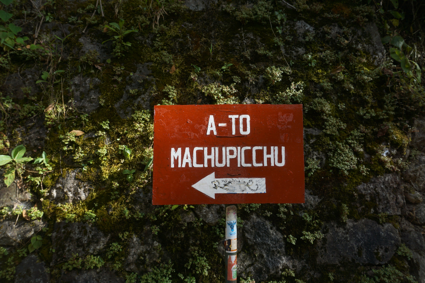 You are currently viewing The Machu Picchu Jungle Trek
