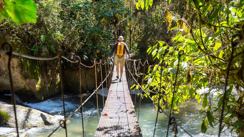 Hiking in green tropical jungle, Costa Rica, Central America