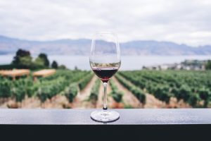 Read more about the article Best 5 Wineries You Must Visit Once