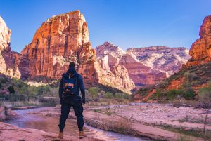 Read more about the article Backpacking Through America’s Top Destination