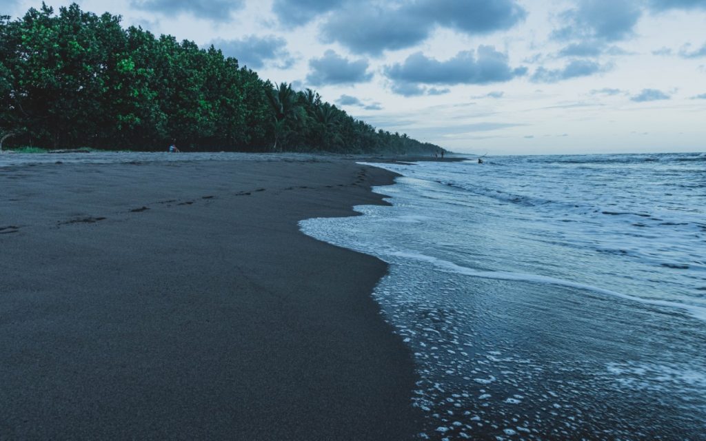 beach beside a forest in tortuguero national park in costa rica - bamba travel
