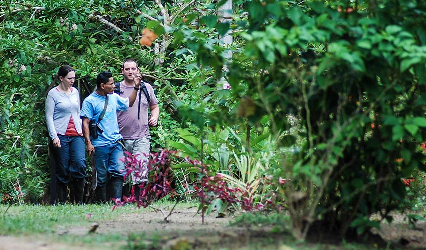 visiting the amazon rainforest - bamba travel - iquitos peru