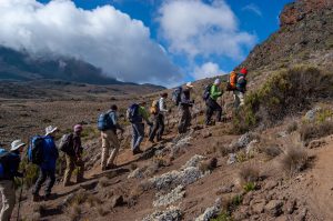 Read more about the article Kilimanjaro vs Inca Trail: A Peak Comparison of the Two Peaks