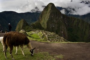 Read more about the article Why is the Inca Trail Popular? 5 Reasons Why the Mystical Trek is on Top of Many Bucket Lists