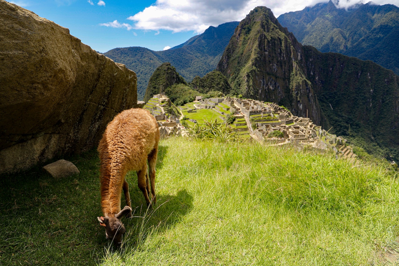 Read more about the article Can You Drive to Machu Picchu? How to Go to the Inca Citadel