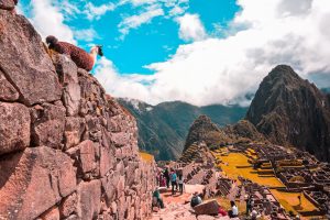 Read more about the article Exploring Machu Picchu: A Guide for Seniors