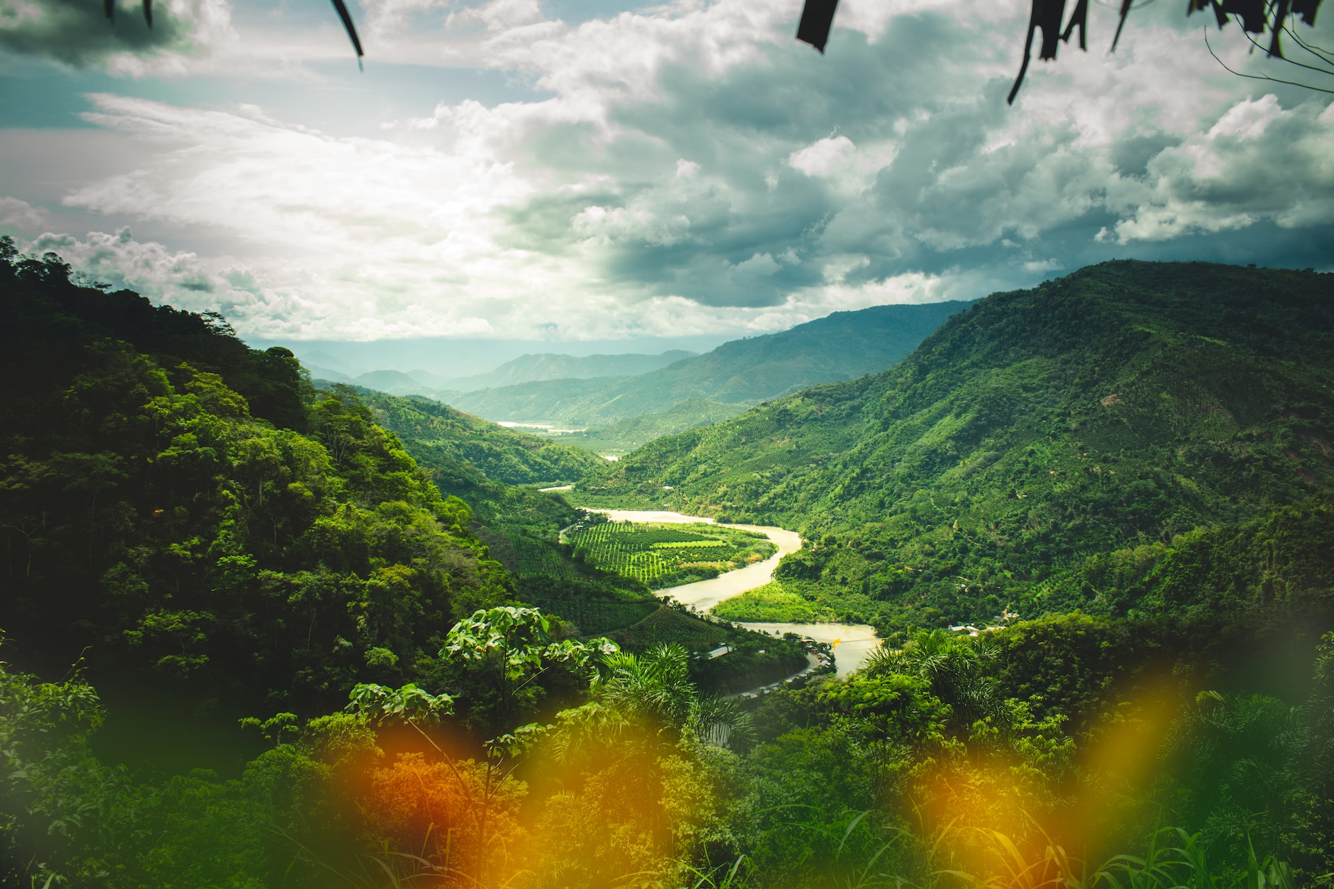 Read more about the article A Journey into the Heart of the Amazon: 4 Days in Iquitos, Peru